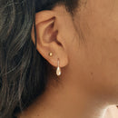 Aretes Pepita