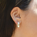 Arracada Redonda Lisa de Plata .925