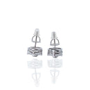 Aretes Flor Radiante Broquel con Circonias