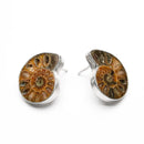 Juego Aretes y Dije Fósil Amonita Ámbar Pirita y Circonia de Plata .925 - 2